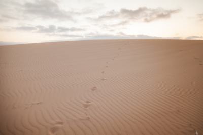 Fuerteventura 2020-11